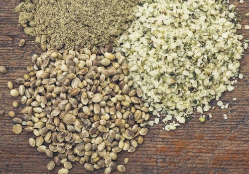 Hemp Protein: What You Need to Know
